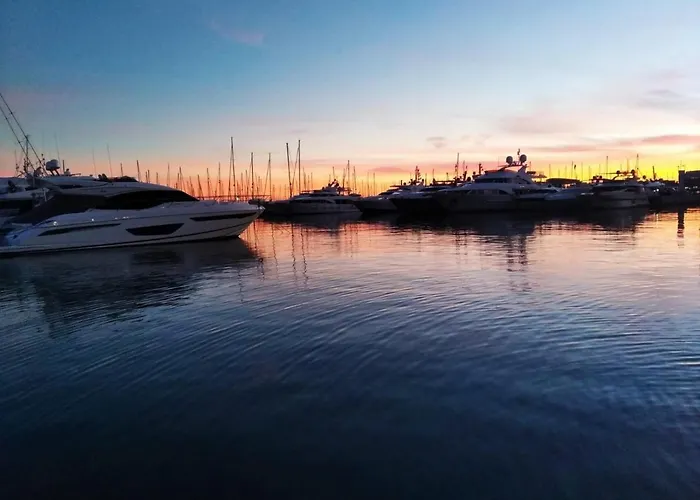 Canalejas - Alicante